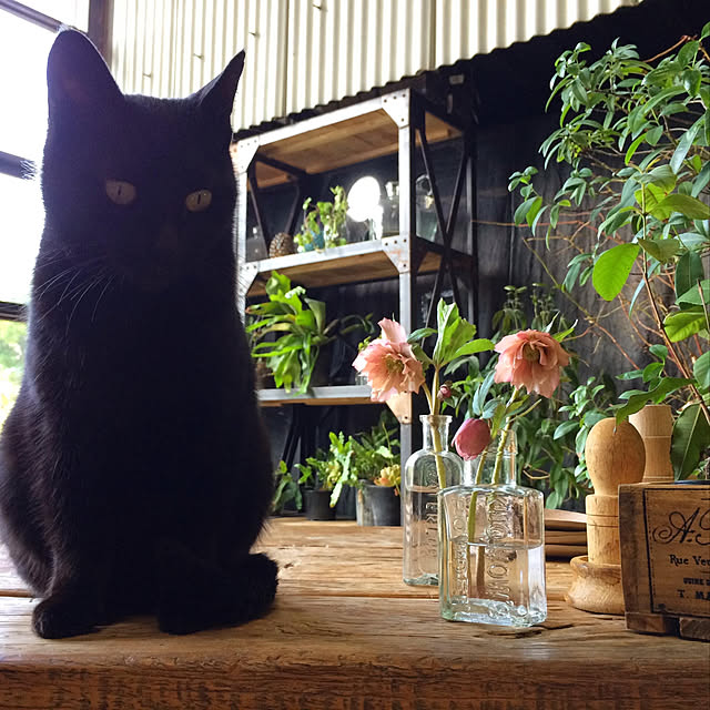 weさんの実例写真