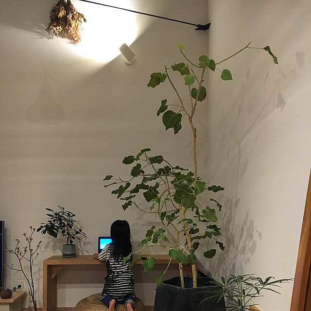 Y1178さんの実例写真