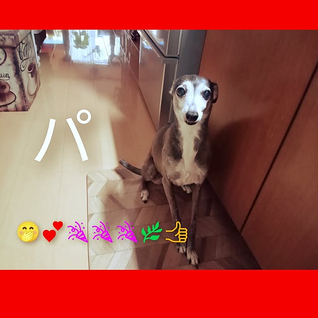 moruさんの実例写真