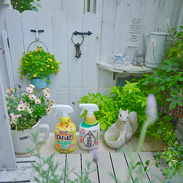 KNさんの実例写真