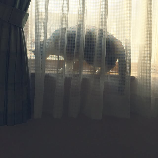 mayugonさんの実例写真