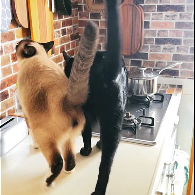 43さんの実例写真