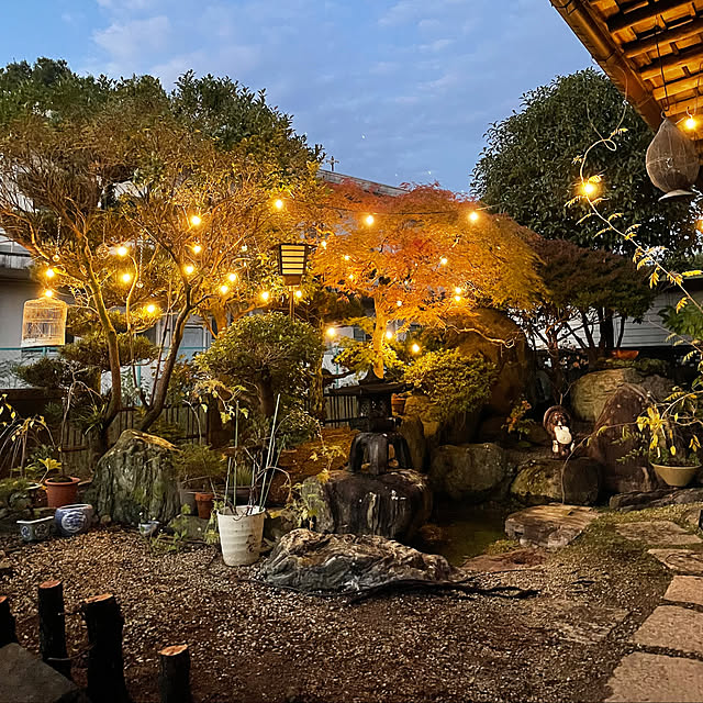 shin0719さんの実例写真