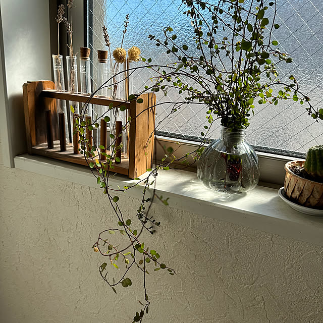 NONTAさんの部屋