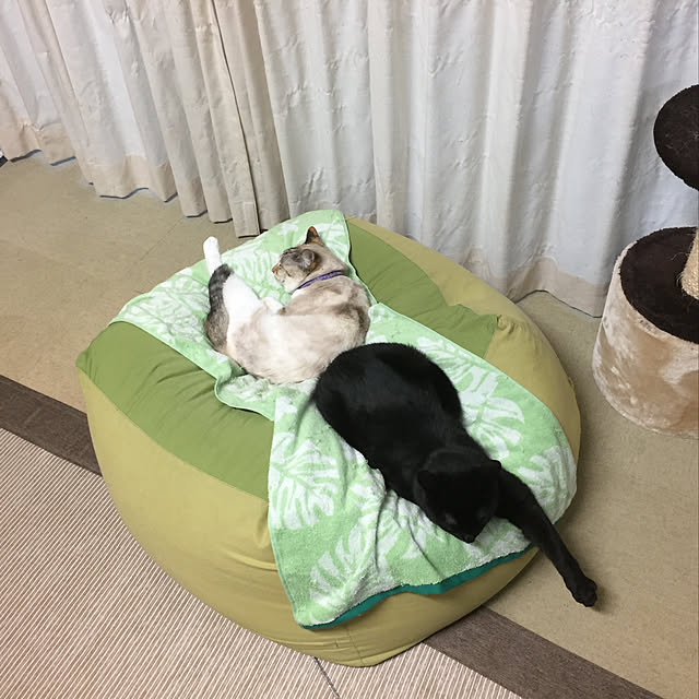 nanaさんの実例写真