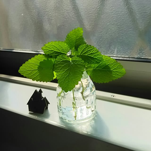 Yumikoさんの実例写真