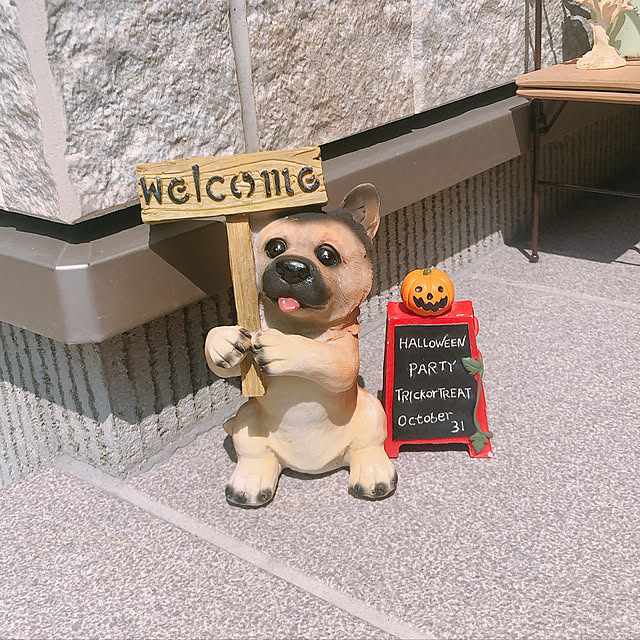 chanmooさんの実例写真