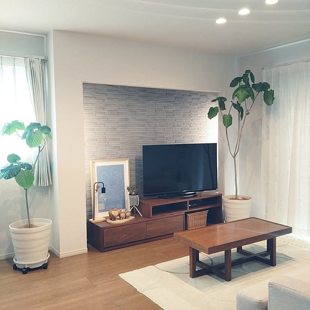 tan5さんの実例写真