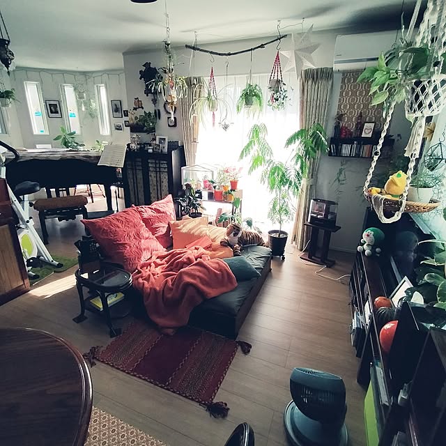funnyfaceさんの部屋