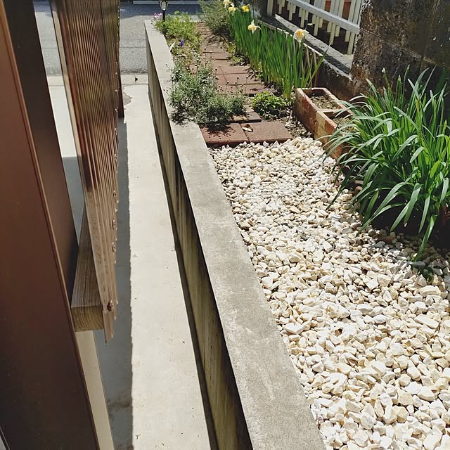 ameamekaasanさんの部屋