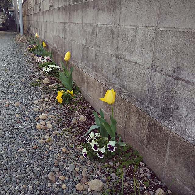boston5757さんの実例写真