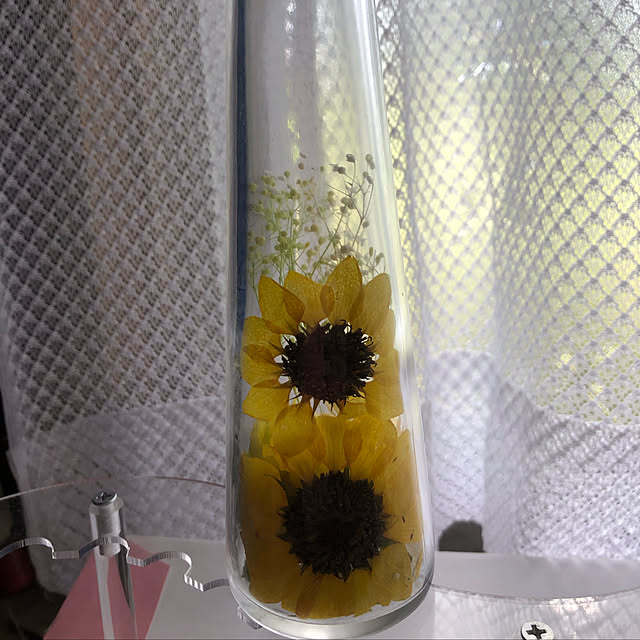 Nanohaさんの実例写真