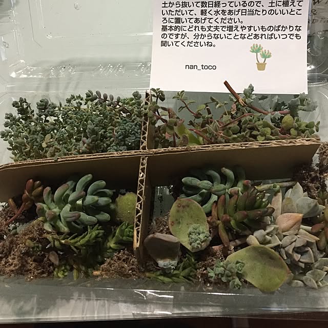 CoffeeHouseさんの実例写真