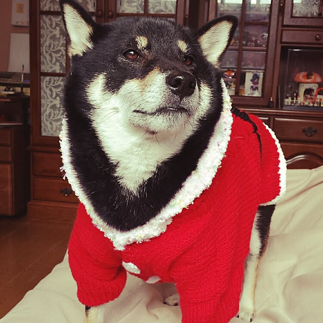 tsutawarimasuさんの実例写真