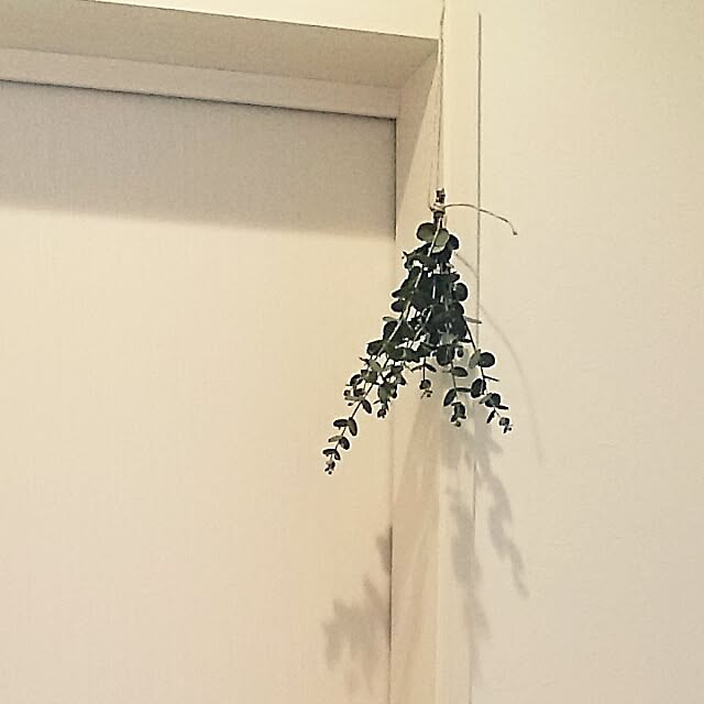 _toro__k_さんの実例写真