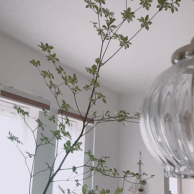miyu39さんの部屋