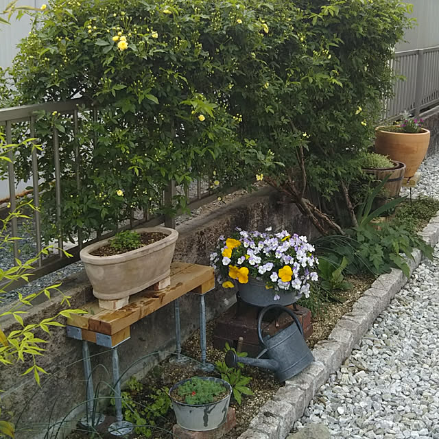 chikohiroさんの実例写真