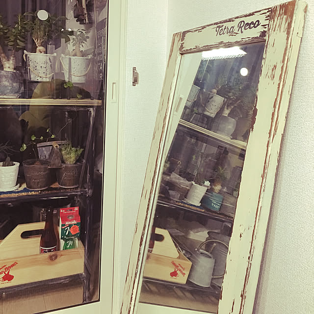 tetra163さんの実例写真