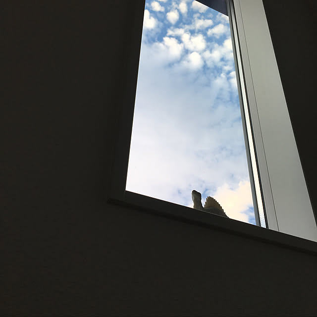 mayuさんの実例写真