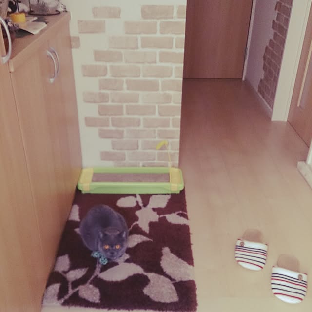 Kazuさんの実例写真