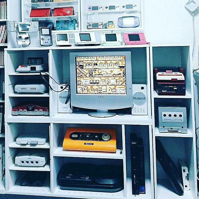 RoBoPaNさんの実例写真