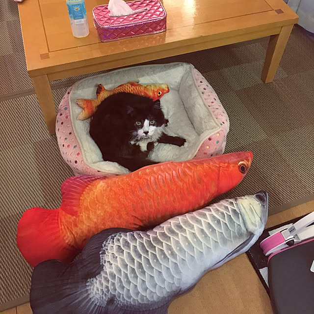 kanaさんの実例写真