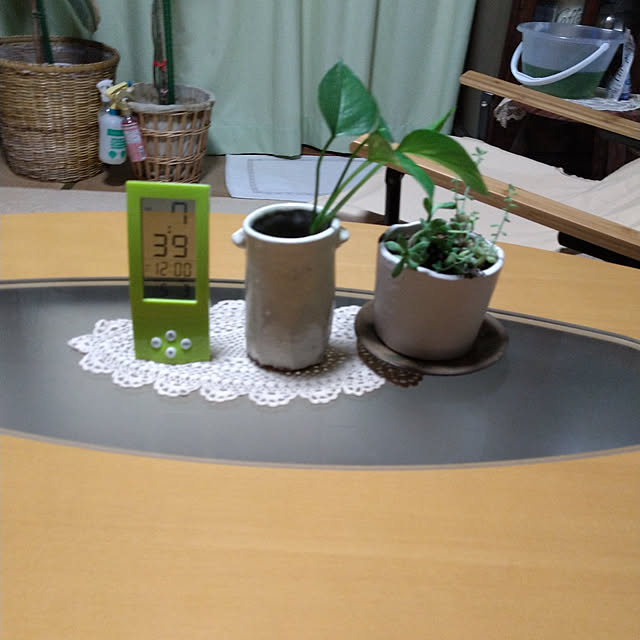 nekopippiさんの実例写真