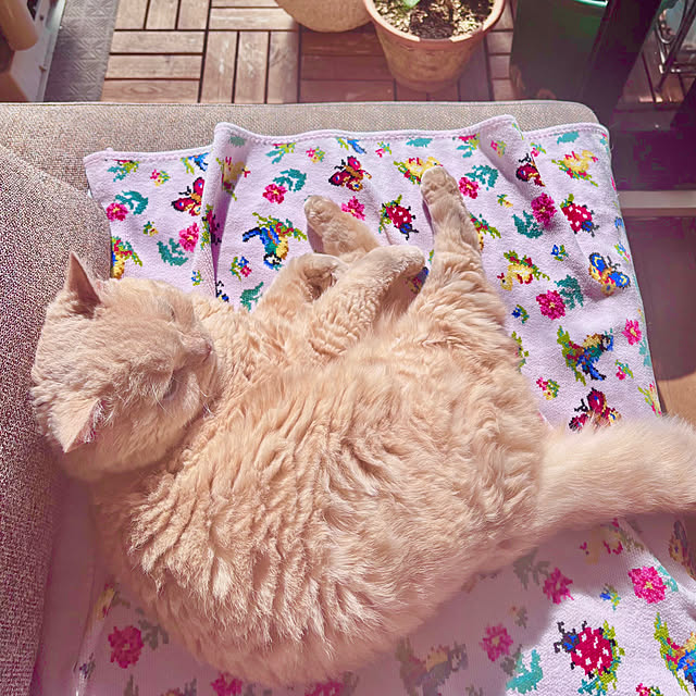 naokoさんの部屋