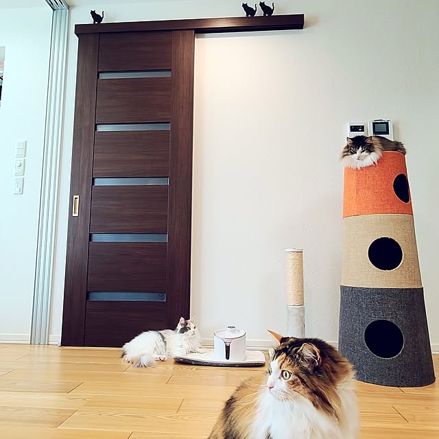 akiko6193さんの実例写真