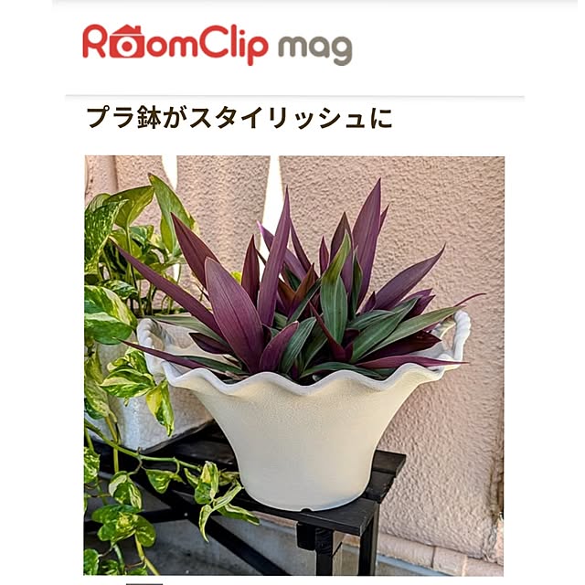 Renさんのお部屋の写真