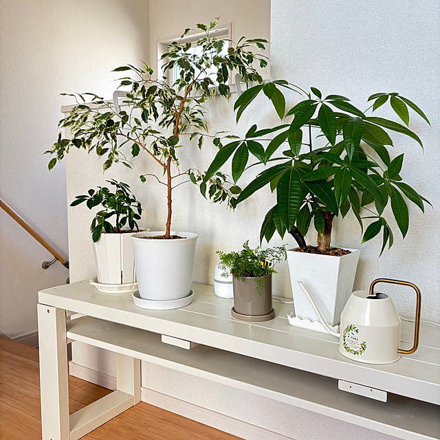 namiさんの実例写真