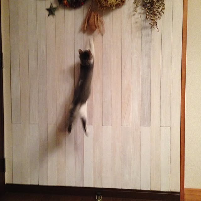 実例写真