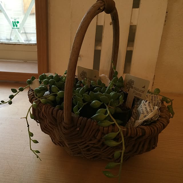amihimeさんの実例写真