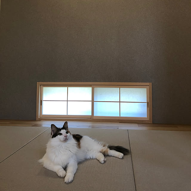 nami0703さんの実例写真
