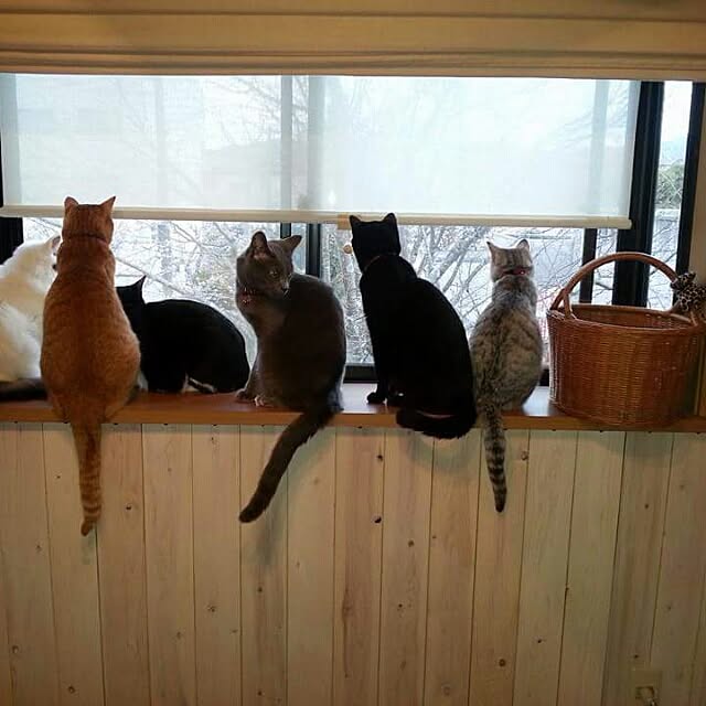 baruさんの実例写真
