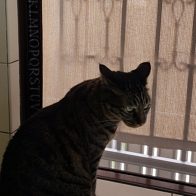 Mayumi8888さんの実例写真