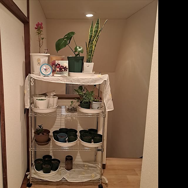 Hanaさんの部屋