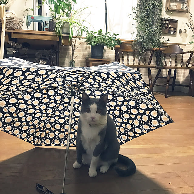 mucc08さんの実例写真