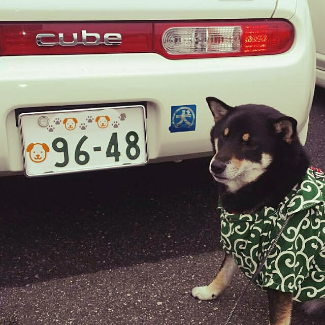 tsutawarimasuさんの実例写真