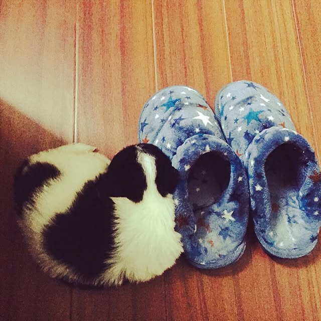 MARIさんの実例写真
