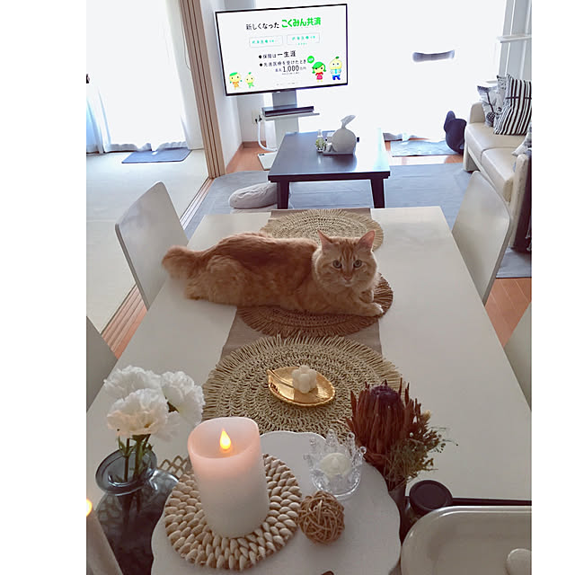 Ryokoさんの実例写真