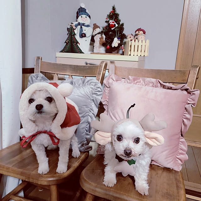Kekoponさんの実例写真