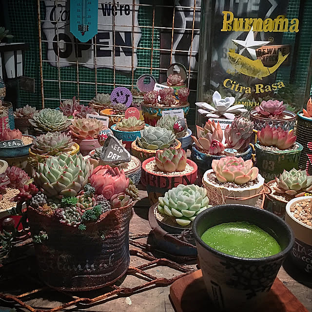 bon-bon-hippieさんの実例写真