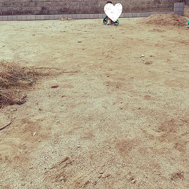 miiaさんの実例写真