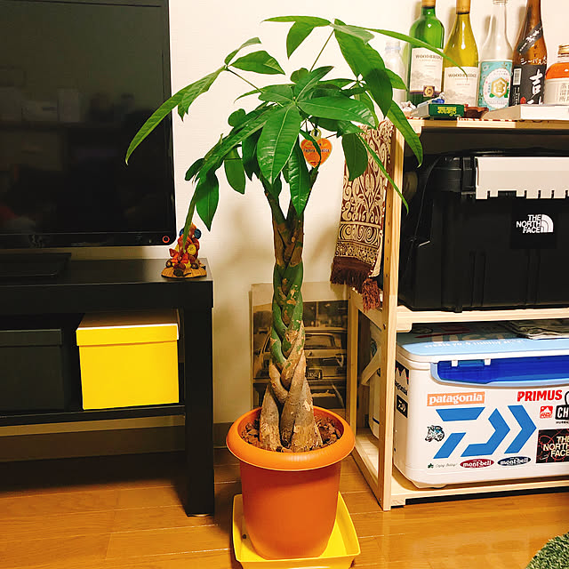 Chiibakenさんの実例写真