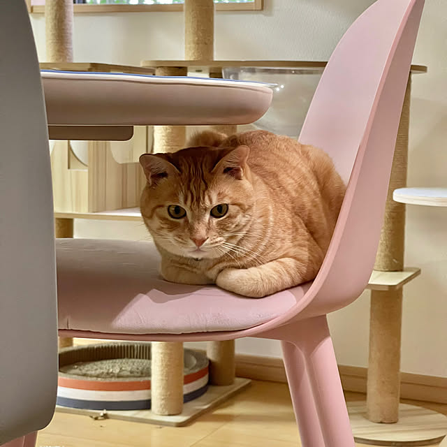 chiiさんの部屋