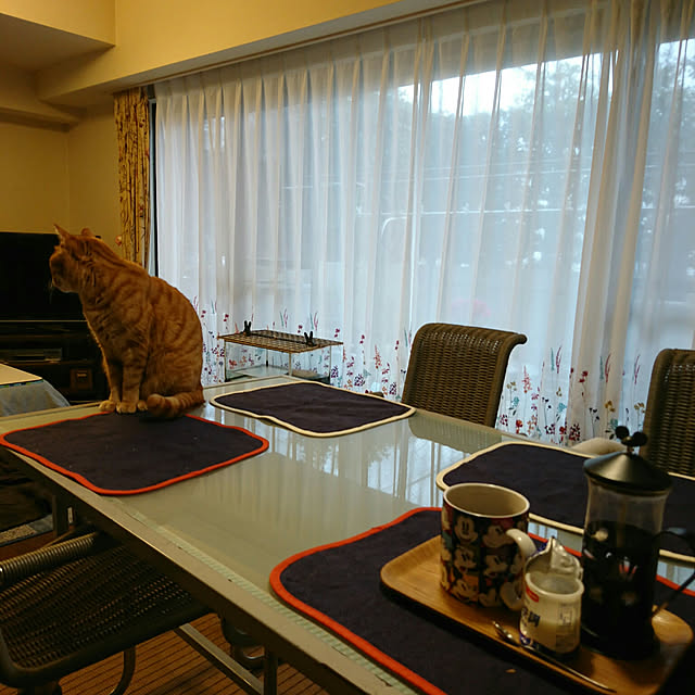 okyosan101さんの実例写真
