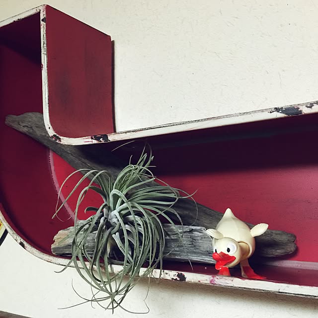 Oshiyukaさんの実例写真