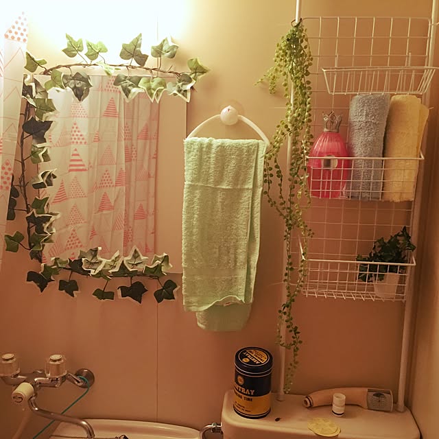AYAPeさんの実例写真