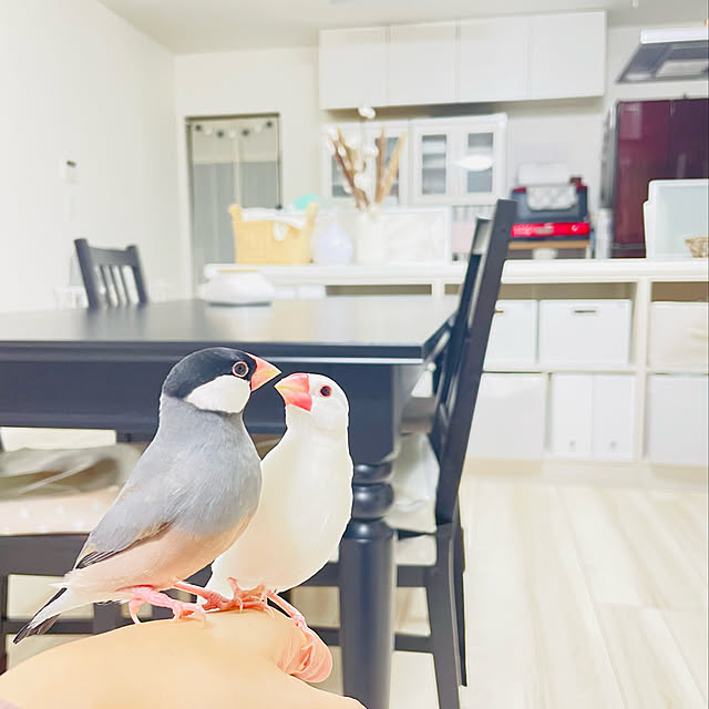 myaaaさんの実例写真